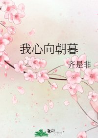 《我心向朝暮》