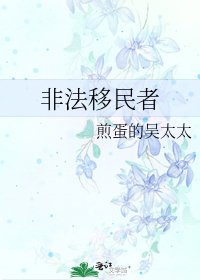《非法移民者》
