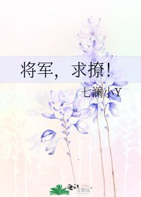 《将军,求撩!》