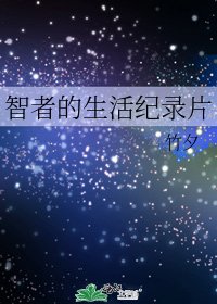 《智者的生活纪录片》