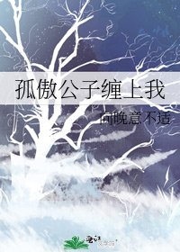 《孤傲公子缠上我》