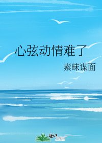 心弦动情难了