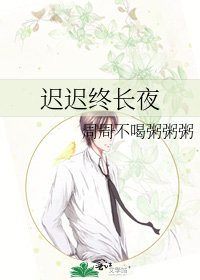《迟迟终长夜》