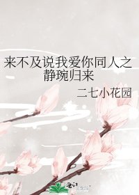《来不及说我爱你同人之静琬归来》