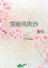 《雪暗风吹沙》