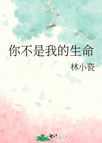 《你不是我的生命》