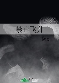 《禁止飞升》