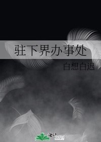 驻下界办事处