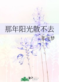 《那年阳光散不去》
