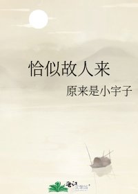 《恰似故人来》