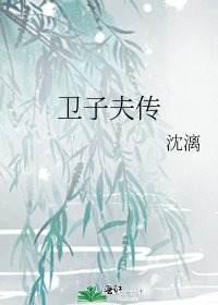 《卫子夫传》