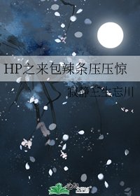 《HP之来包辣条压压惊》