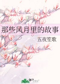 《那些风月里的故事》