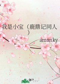 我是小宝（鹿鼎记同人）