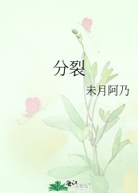 《分裂》