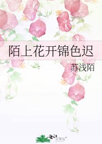 《陌上花开锦色迟》