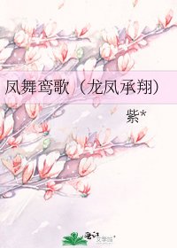 《凤舞鸾歌(龙凤承翔)》