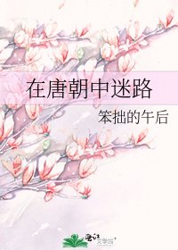 《在唐朝中迷路》