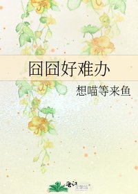 《囧囧好难办》