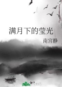 《满月下的莹光》