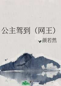 《公主驾到(网王)》