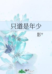 《只道是年少》