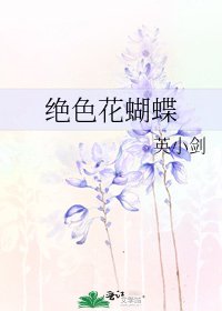 《绝色花蝴蝶》