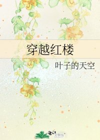 《穿越红楼》