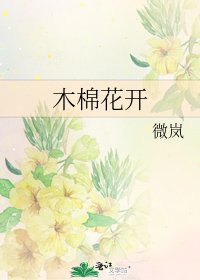 《木棉花开》