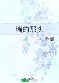 《墙的那头》