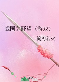 《战国之野望(游戏)》