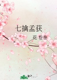 《七擒孟获》