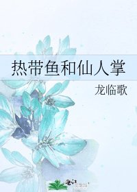 《热带鱼和仙人掌》