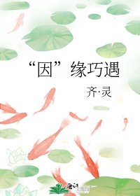 《“因”缘巧遇》