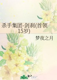 《杀手集团-剑刹(首领15岁)》
