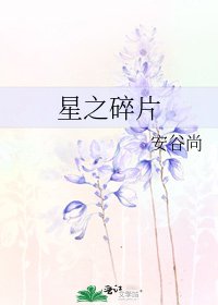 《星之碎片》