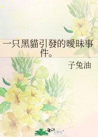 《一只黑貓引發的曖昧事件。》