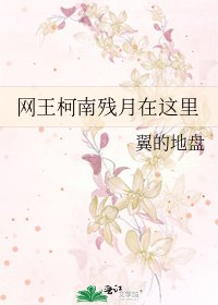 网王柯南残月在这里