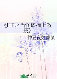 《HP之当怪盗撞上教授》
