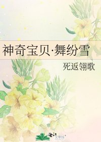 《神奇宝贝·舞纷雪》