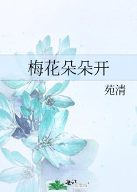 《梅花朵朵开》