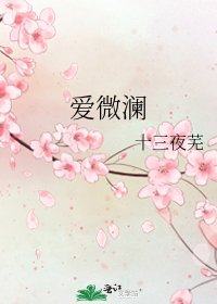 《爱微澜》