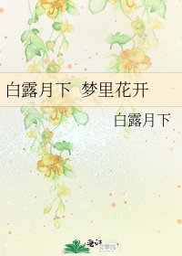 《白露月下 梦里花开》