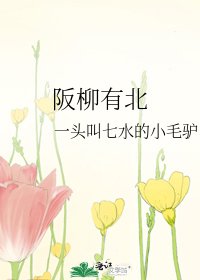 《阪柳有北》
