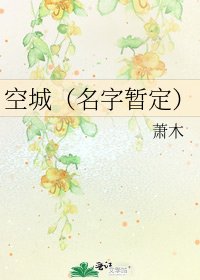 《空城(名字暂定)》