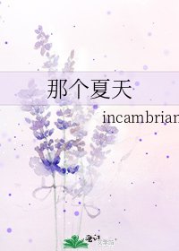 《那个夏天》