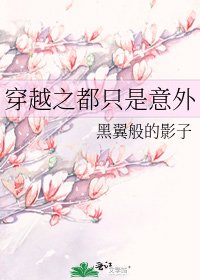 《穿越之都只是意外》