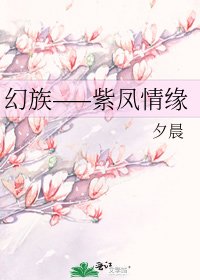 《幻族——紫凤情缘》