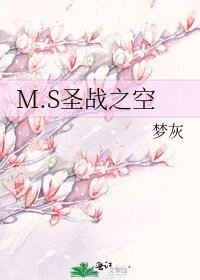 M.S圣战之空