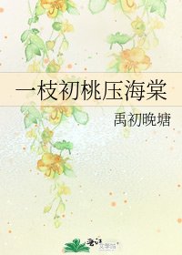 《一枝初桃压海棠》